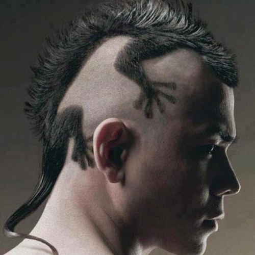 ogrovlj's profile picture. 