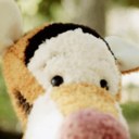 Jill Sherrod - @DisneyJill - Twitter