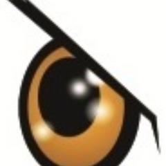 VENTA DE GAFAS DE SOL POLARIZADAS DE ALTA CALIDAD CON FILTRO OPTICO AVANZADO  SOLO CON EAGLE POLARS
