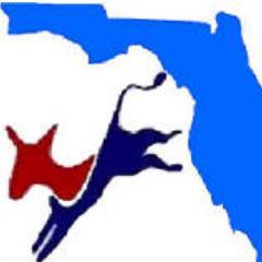 We are part of the Bay County, Florida Democrats and are committed to building opportunity and ensuring equality for all.