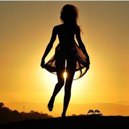 sunset lover. a traveller.