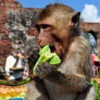 ThailandForChildren (@thai4c) 's Twitter Profile