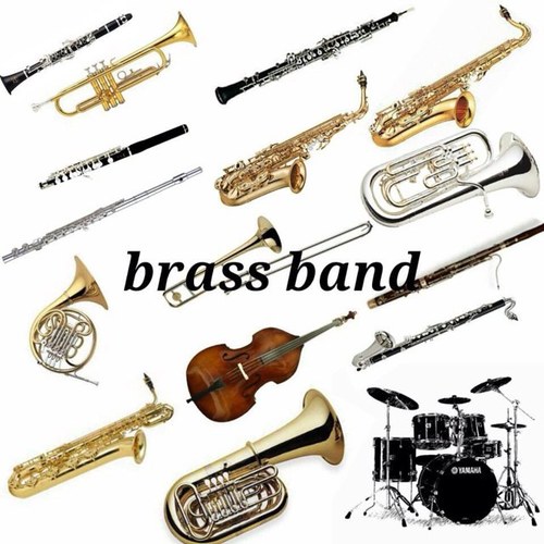 brass_minibot's profile picture. 