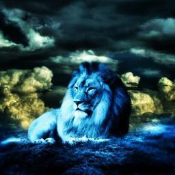 The way is not in the sky. The way is in the heart.