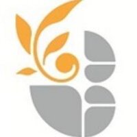 HarpfieldST4 (@harpfieldst4) 's Twitter Profile