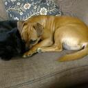 sandra warner - @sarniesmind - Twitter