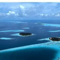 만쑤르동동 (@solmc171) 's Twitter Profile