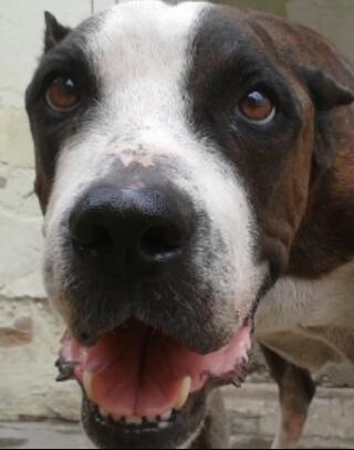 TTGO80's profile picture. 