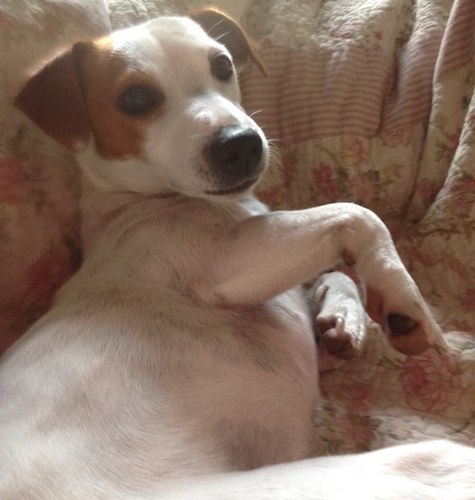 pleaknowe67's profile picture. 