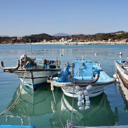 solmc243's profile picture. 