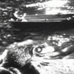 よろしくお願いします