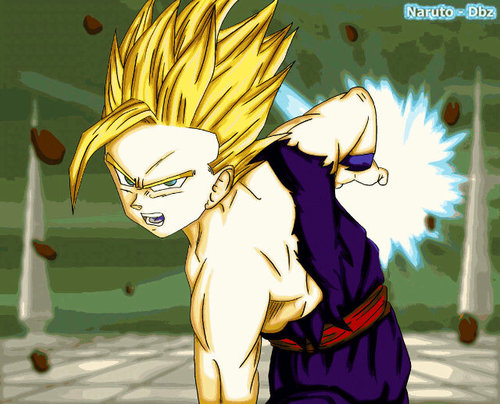 I am GOHAN.I am son,son goku