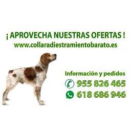 Empresa dedicada desde hace varios años a la importación, distribución y venta de productos para el adiestramiento de perros, esquiladoras, linternas...