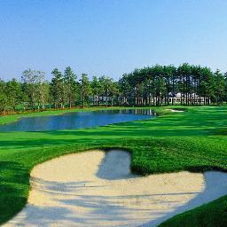 pinehillsgolfMA's profile picture. 
