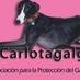 112 Carlota Galgos (@112CarlotaGalgo) Twitter profile photo