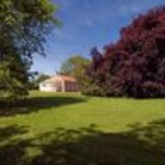 Madeirainfife's profile picture. Self-catering cottages in the East Neuk of Fife. The owners (me and my wife) live on site so always on hand to help.