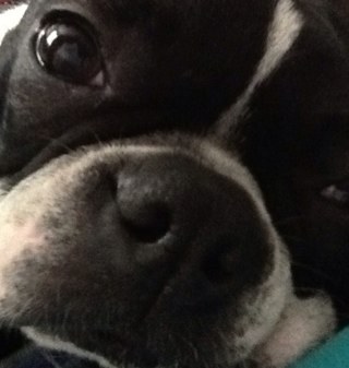 RobertsRachela's profile picture. 🎢🎀💖