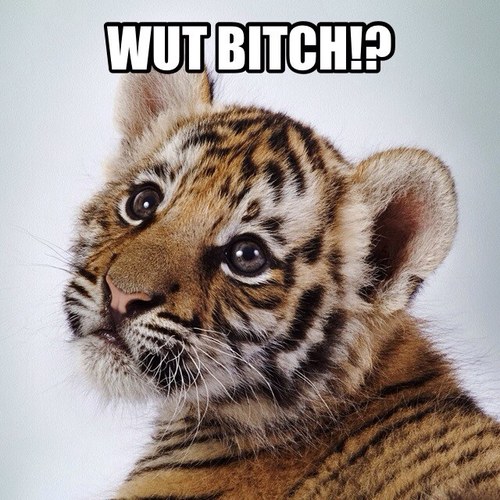 Hey you. Fuck off, but follow me.