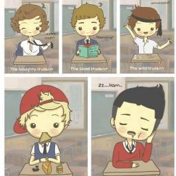 I'm Islam|I'm female directioners| Lukers| SL|
 Mention for Follback| #1DFamily
