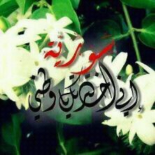 حمصية الهوية 😍وياسمينية الهوى🌼
منذ اقترفت الفراق عن وطني و أنا أنزفه حبرًا أكتبه لأتنفس، لأُشفى ويَشفى وأشعر أنني مازلت على قيد وطن