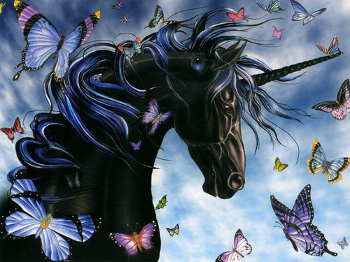 Just a plain girl in a beautiful world.
I abhor violence of any type!