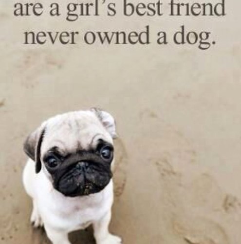 KariRdeG's profile picture. 