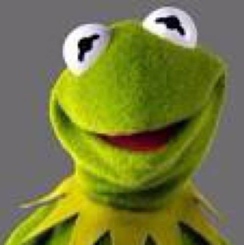 Kermits follow back train. ill help you gain followers. I follow back 100%