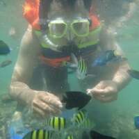 sofiansaja's profile picture. 