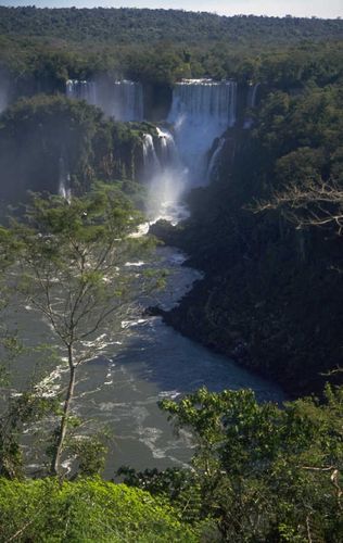 W01B's profile picture. I always twitLens grindKyle Pittmaner