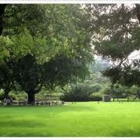 아침이슬 (@kdho1966) 's Twitter Profile