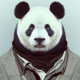 Pandita de la Costa, bigote, pumas, real madrid. Detesto al PRI, PAN, PRD, al américa, los albañiles del cruz azul, laura bozzo, televisa y tv azteca.