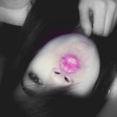 * ., 17 Aninhos , #ciumenta  ,folgada ,#Mimada ,irritante , feliz  . #baladeira  .-. FÃ do MC #KAUAN  *-*  eu #amo minhas bebê  #Sabrina & #Sofhye