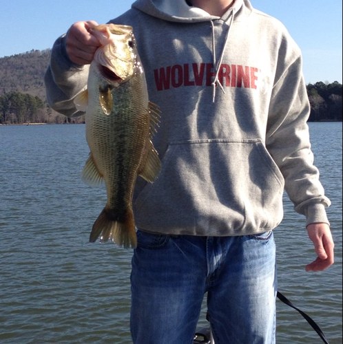 Livin life the good ole southern way. if you dont like it then so be it.
