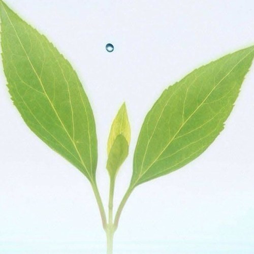 SOSlowMoney's profile picture. Southern Oregon Chapter of Slow Money. 
Connecting food entrepreneurs to investors to bring our money back down to earth.