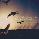 FN ♥ - @fatima_sallah - Twitter