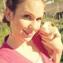 Amanda Thomason - @StorybookCavies - Twitter