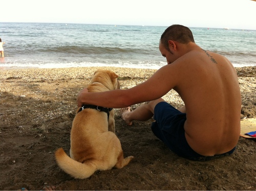 floro08's profile picture. 