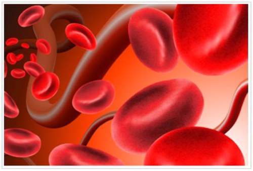 Genç Hematologlar (Young Hematologists) grubu sosyal paylaşım ağı / Social platform of Young Hematologists / https://t.co/aV00t5LUbe