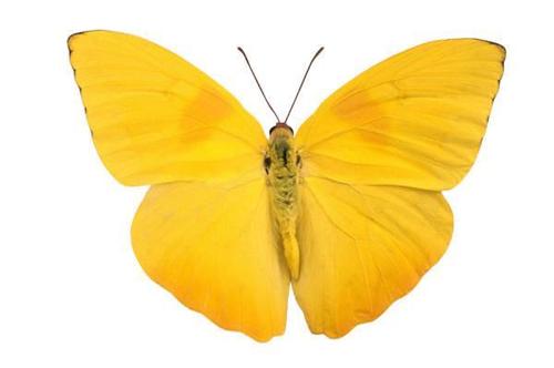 cmoore0521's profile picture. .