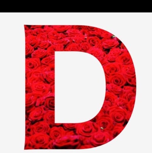 Dalol51's profile picture. 