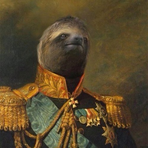 I post sloth photos because sloths are fucking awesome