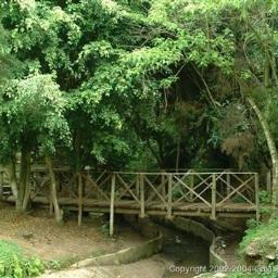 Jacarandas de Cayalá es parte de un paisaje completamente abierto con flora y fauna representativa de Guatemala ¡VEN Y DISFRUTA DE DIFERENTES ACTIVIDADES!