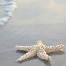 Payolita_jc's profile picture. Compartiendo los instantes de mi vida.