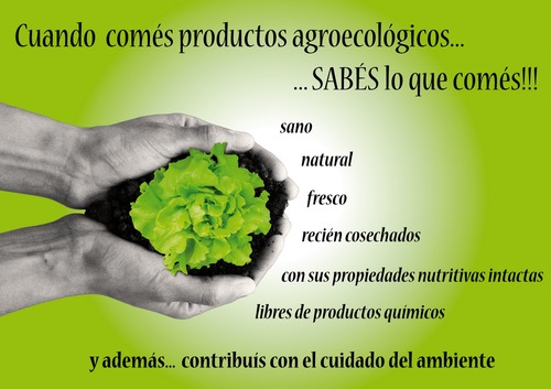 estebcuar1004's profile picture. 