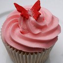 Sandra Hoff - @Butterfly603 - Twitter