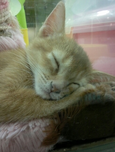 tmdgkr82's profile picture. 내명자경