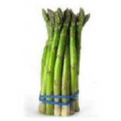 TERRADOC : l'asperge verte du champ à l'assiette ! Producteurs d’asperges vertes à Lavernose-Lacasse (31410).