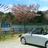tyajima