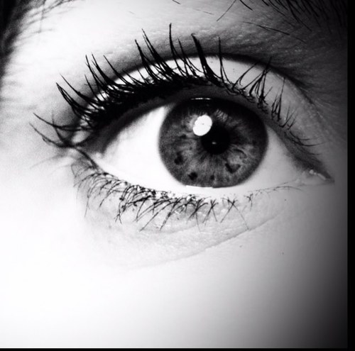 evelilicy's profile picture. 