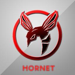 HornetEmpire's profile picture. Official Twitter of Hornet Empire! Follow us to keep up with the latest videos, recruitment challenges,and new recruits
